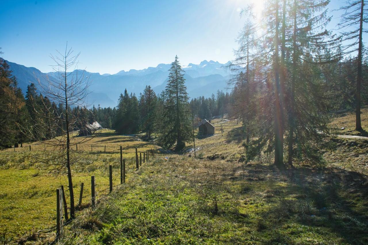 Stoablick - Barrierefrei Mit Bergblick